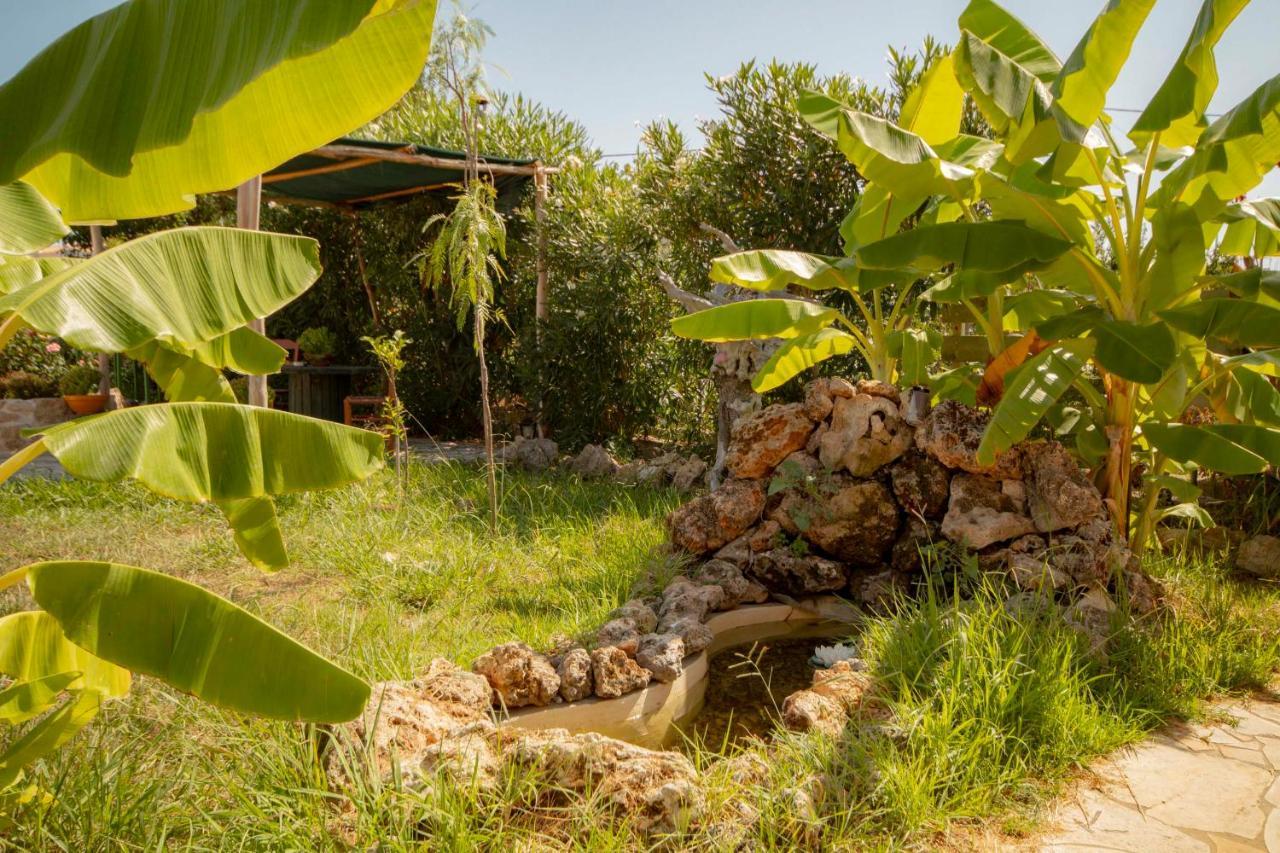 Harmony Corfu & Appartement *