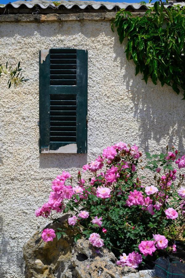 Appartement Harmony Corfu & Corfu (city)
