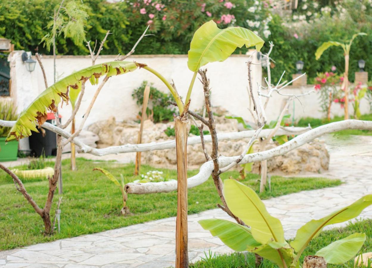 Appartement Harmony Corfu &